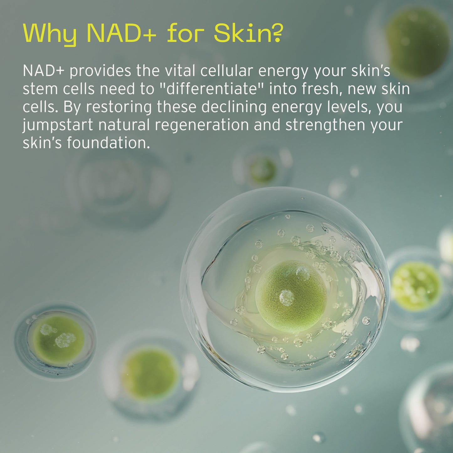NAD+ CELL ENERGIZING TREATMENT